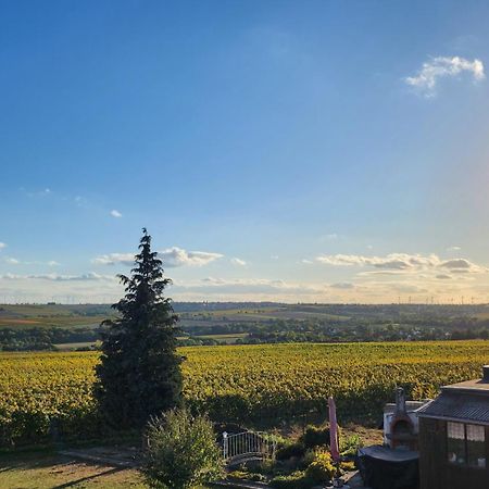 Monteurwohnung Ha-Wei -90 M2 Hangen-Weisheim Bagian luar foto