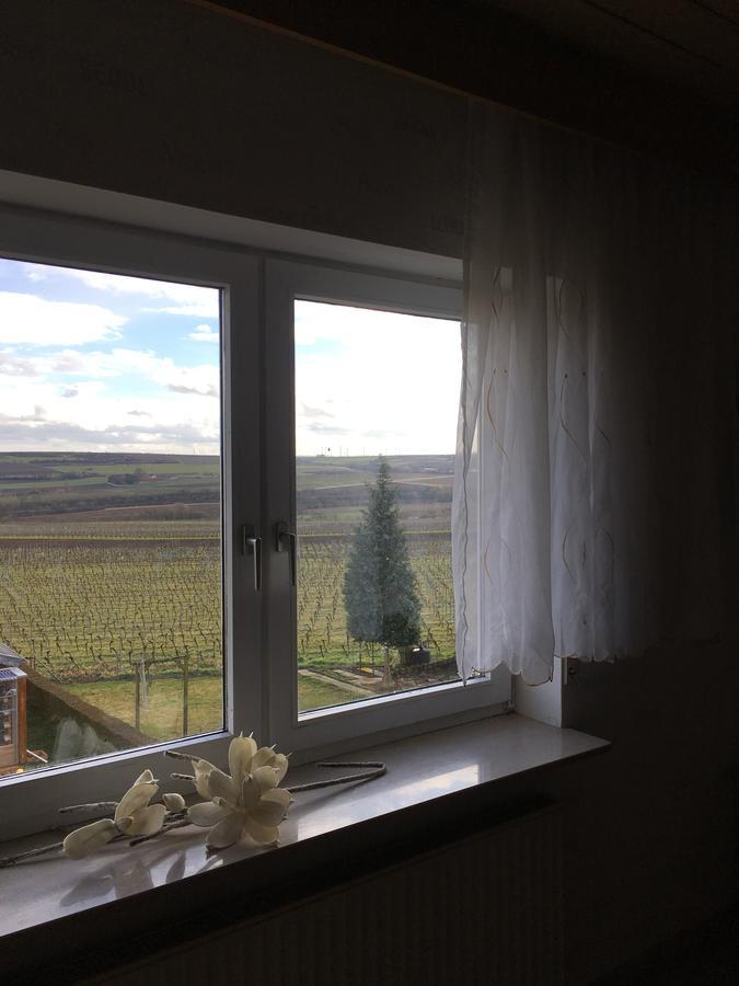 Monteurwohnung Ha-Wei -90 M2 Hangen-Weisheim Bagian luar foto