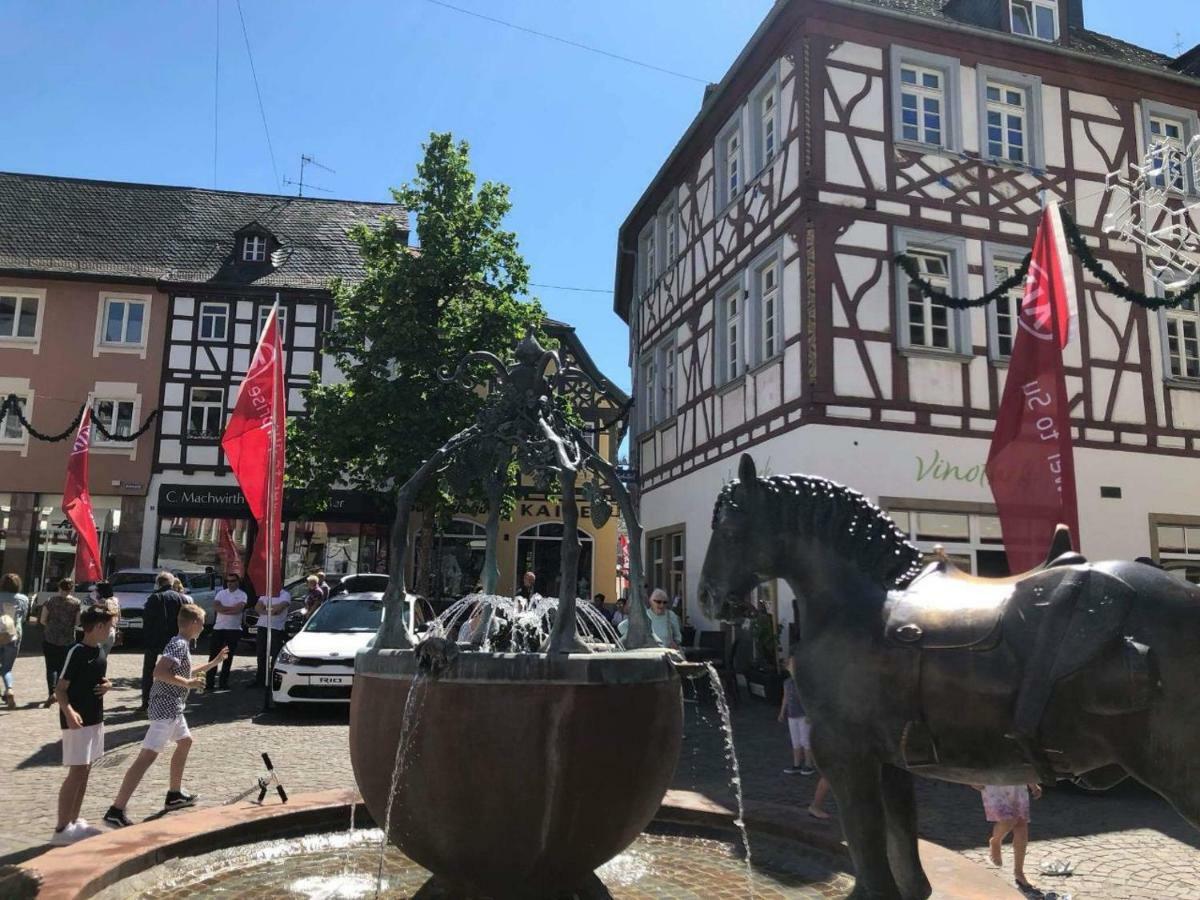 Monteurwohnung Ha-Wei -90 M2 Hangen-Weisheim Bagian luar foto